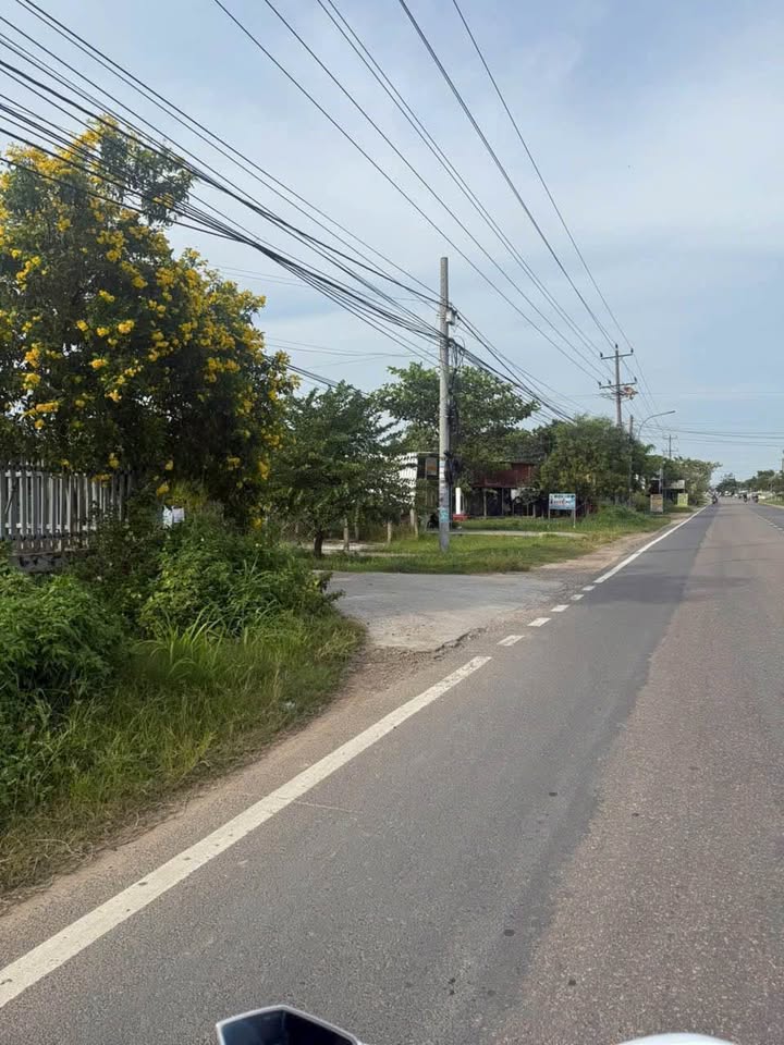 Đất thổ cư Bình Lâm, Hàm Chính 600m² giá 620 triệu - Đường ô tô vào tận nơi!