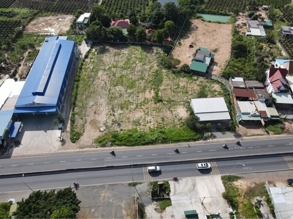 Đất 2 mặt tiền QL1A, Hàm Minh, Bình Thuận 4889m² - Vị trí đẹp, thích hợp kinh doanh!