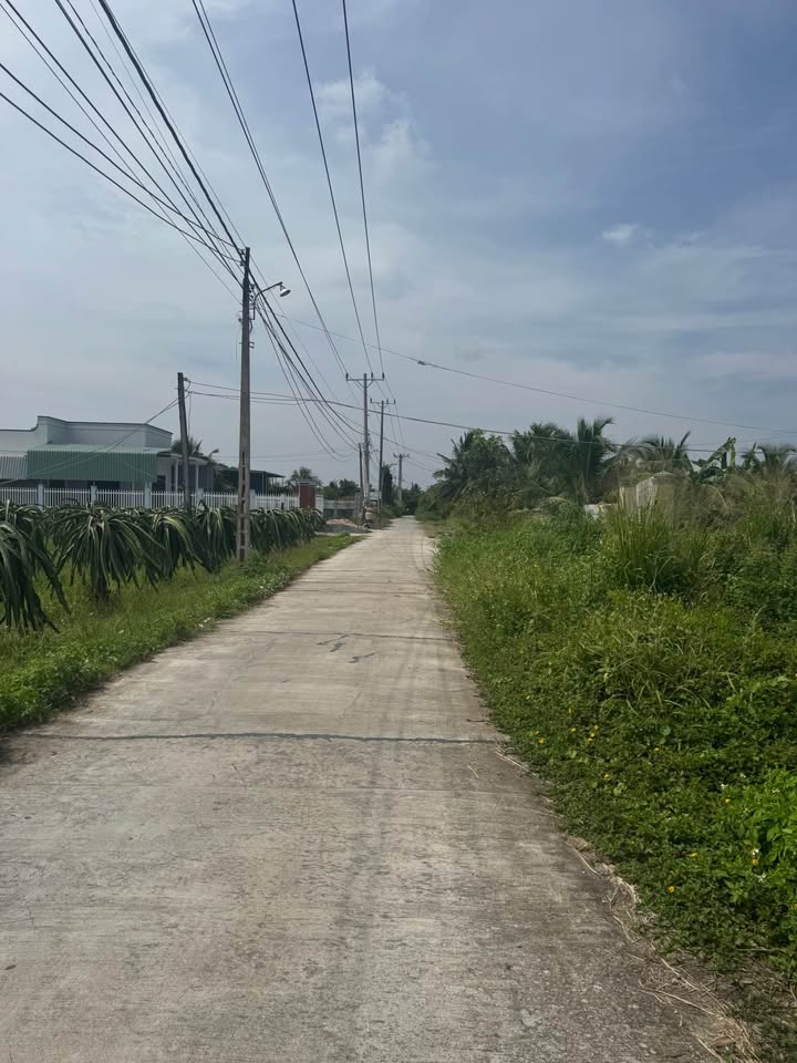 Đất thổ cư 2000m² tại Phú Mỹ, Tuyên Quang - Giá 5.85 tỷ, thích hợp xây nhà vườn!