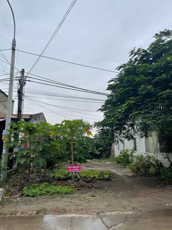 Đất Vĩnh Tân 255m² giá 2 tỷ - Mặt đường kinh doanh sầm uất!