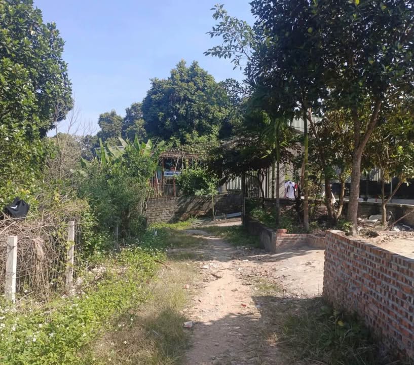 Đất nền Ba Trại, Ba Vì, Hà Nội 261m² giá 700 triệu - Cơ hội đầu tư hiếm có!