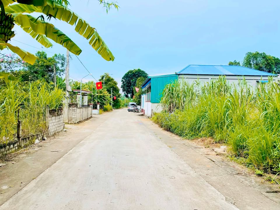 Đất nền Tân Kỳ 262m² giá chỉ 9xx triệu - Cơ hội đầu tư vàng!