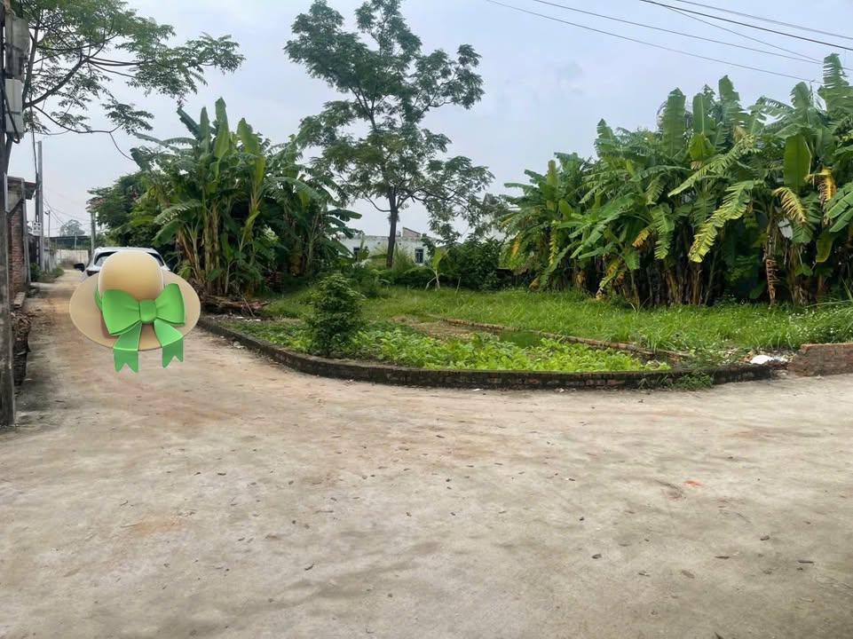 Đất thổ cư Kim Anh 100m² giá chỉ 20 triệu - Sổ đỏ chính chủ, đầu tư tuyệt vời!