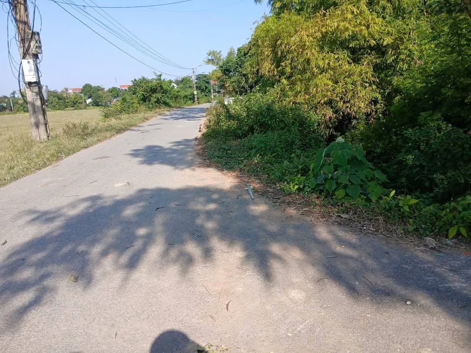 Đất thổ cư 160m² tại Xuân Hòa, Phúc Yên - Giá chỉ 6.85 tỷ!