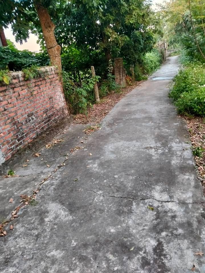 Đất nền Liên Mạc, Thanh Hà 199m² giá chỉ 800 triệu - Sổ đỏ chính chủ!