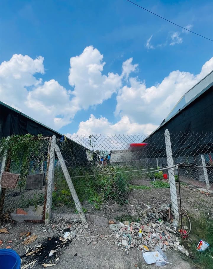 Đất đường Nguyễn Tri Phương Dĩ An 371m² giá 15 tỷ - Đầu tư sinh lời ngay!