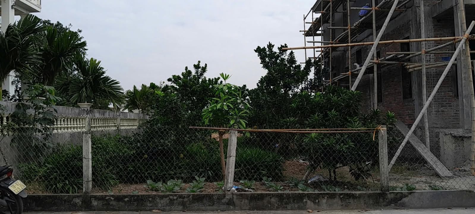 Đất nền Quất Lâm, Giao Thủy, Nam Định 212m² giá 2.1 tỷ - Sổ đỏ chính chủ!