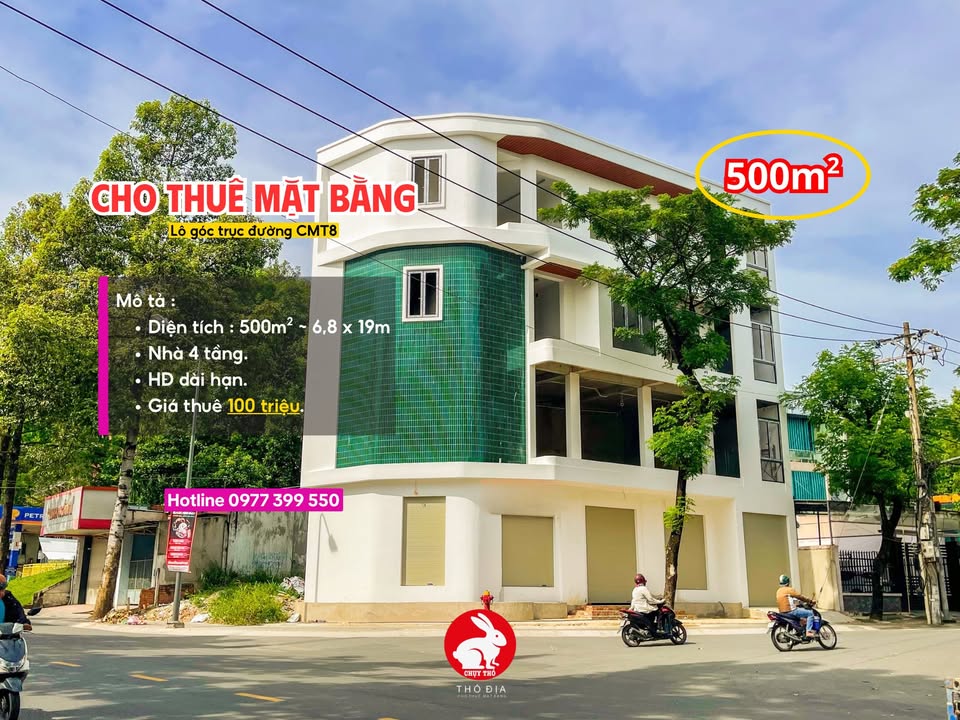 Cho thuê mặt bằng căn góc 500m² 4 tầng - Phù hợp với nhiều lĩnh vực tại Thủ Dầu Một!