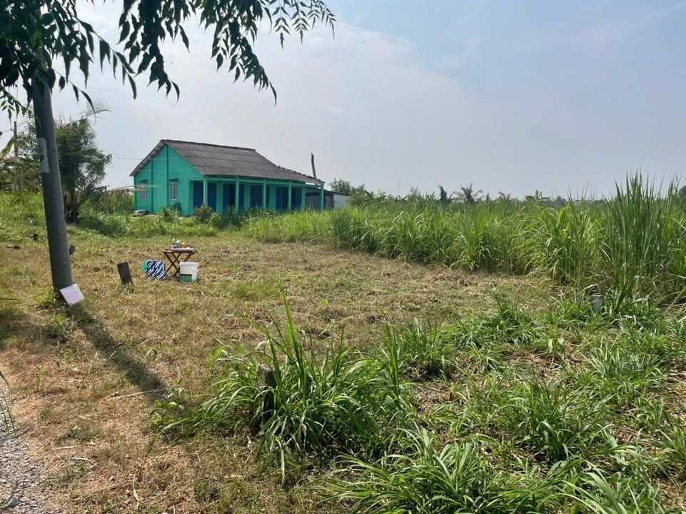 Đất nền mặt tiền xã Đồng Thạnh, Gò Công Tây, Tiền Giang - Giá chỉ từ 450 triệu