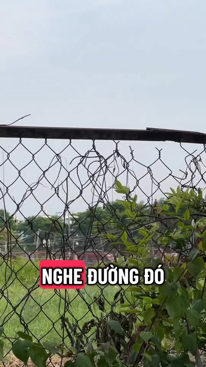 Bán gấp FrontHouse mặt tiền Bình Phú Q6, 42m² giá 8.3 tỷ - View công viên tuyệt đẹp!