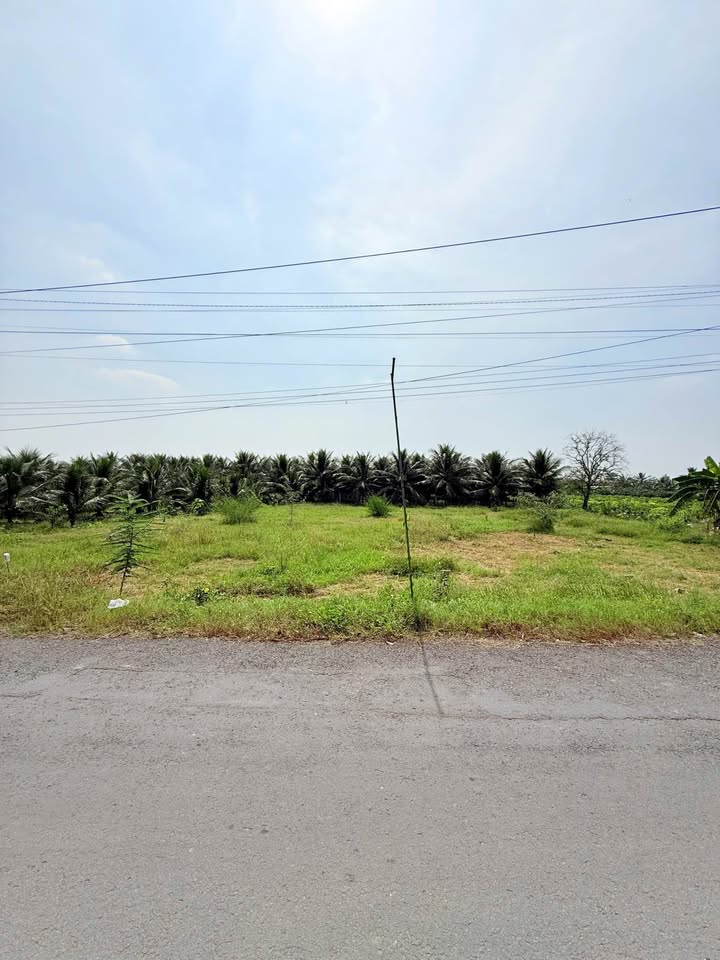 Đất mặt tiền đường Nhựa 90C, Mỹ Phong, 189m² giá 1.4 tỷ - Đầu tư sinh lời lý tưởng!