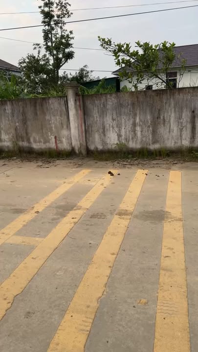 Đất nền 115m² Nam Lĩnh, Nam Đàn - Giá thỏa thuận hấp dẫn!