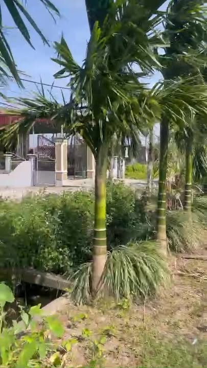 Đất thổ cư Nam Điền 80m² giá 1.1 tỷ - Sổ đỏ chính chủ, gần KCN!