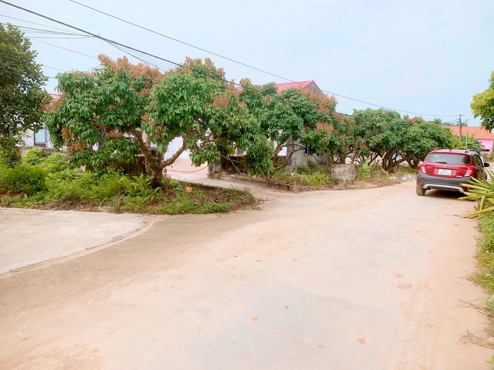 Đất nền Lục Nam 500m² giá 400 triệu - Vị trí đẹp gần khu nghỉ dưỡng!