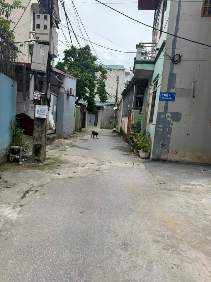 Nhà xưởng 146,8m² trục chính Tháp Miếu, Phúc Yên - Giá chỉ 2,937 tỷ!