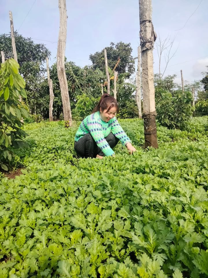 Đất nền Phước Trạch 2, Ea Phê 600m² giá 5 triệu/m2 - Đầu tư sinh lời ngay!