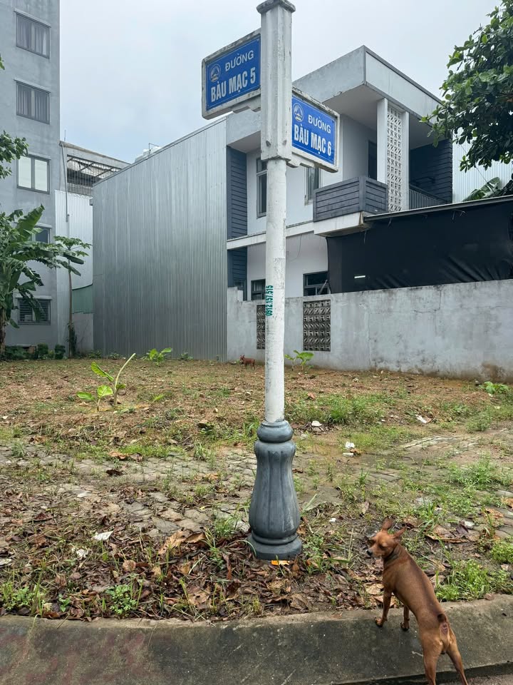 Đất nền góc 2 mặt tiền Bàu Mạc 5 & Bàu Mạc 6, Liên Chiểu - Đà Nẵng, 178m² - Cơ hội đầu tư sinh lời!