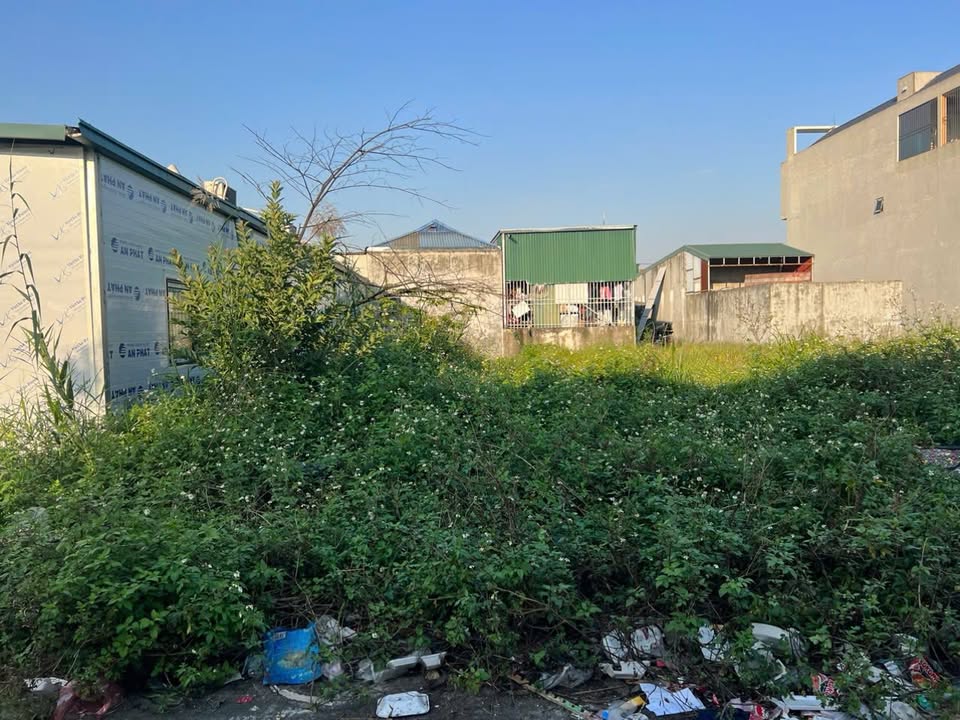 Đất đấu giá Bạch Thượng Duy Tiên 100m² - Đầu tư sinh lời ngay!