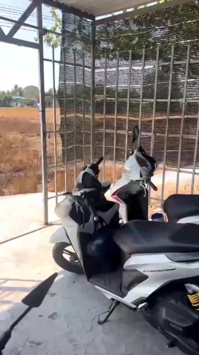 Nhà cấp 4 Phước Lợi Bến Lức 140m² giá 1.35 tỷ - Chính chủ bán gấp!