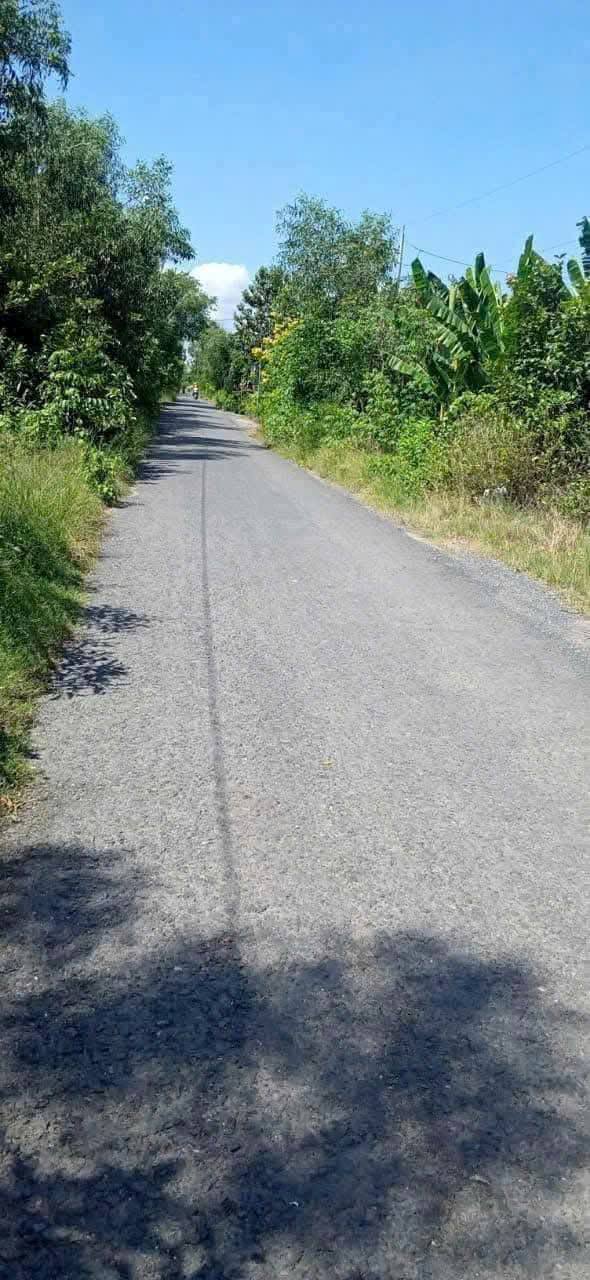 Đất lúa 1000m² tại ấp 2 Bình Hòa Nam, Đức Huệ - Giá 380 triệu, cơ hội đầu tư hấp dẫn!