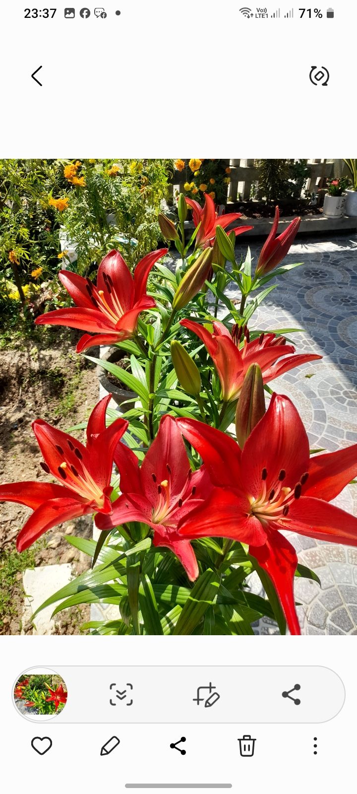 Đất nền xã Nguyễn Nghiêm, Quảng Ngãi 600m² giá thỏa thuận - Gần trường học và UBND!