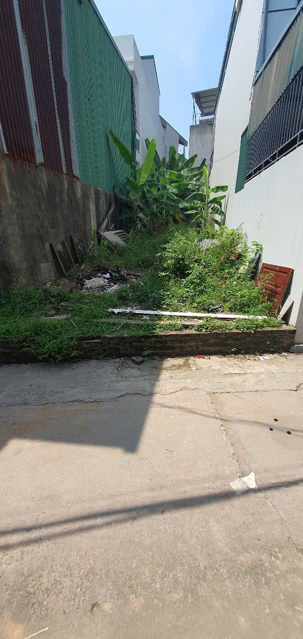 Đất nền Bình Phú 100m² giá thỏa thuận - Đường xe ô tô vào tận nơi!