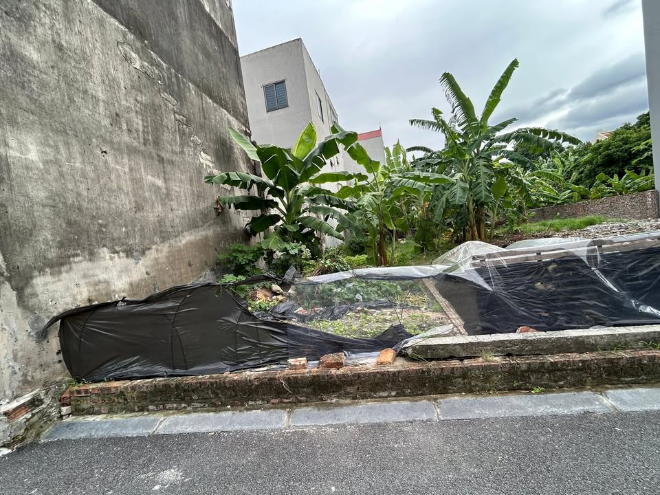 Đất nền Tiên Dương, Đông Anh 84m² giá 6 tỷ - Cơ hội đầu tư không thể bỏ qua!