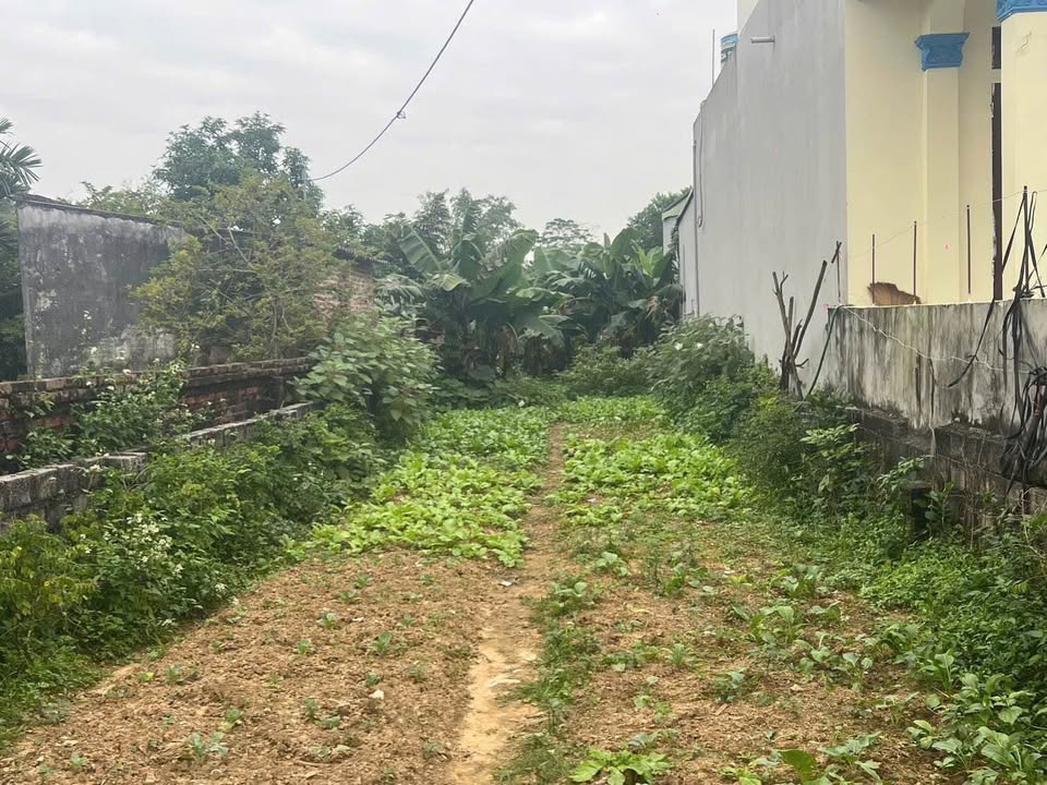 Đất nền tại xã Xuân Mai, Chương Mỹ 185m² giá 2 tỷ - Cơ hội đầu tư sinh lời!