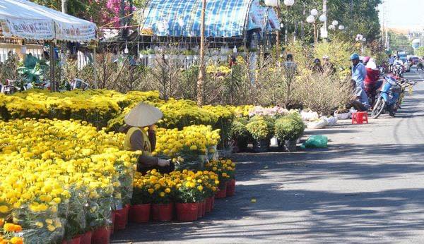 Kho bãi cho thuê tại Nhà ga T3 - Diện tích 2500m², giá thương lượng