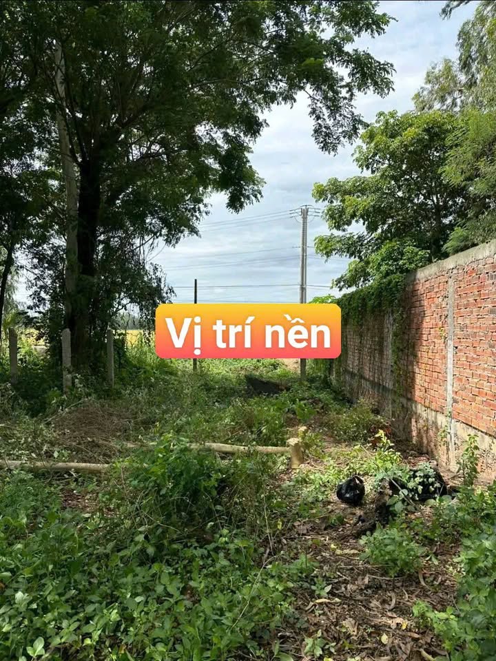 Đất thổ cư 300m² tại ấp Vĩnh Phát, An Phú giá chỉ 350 triệu - Cơ hội vàng cho đầu tư!