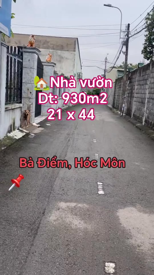 Đất nền Bà Điểm Hóc Môn 1000m² giá 16.8 tỷ - Sổ hồng chính chủ, nở hậu đẹp!