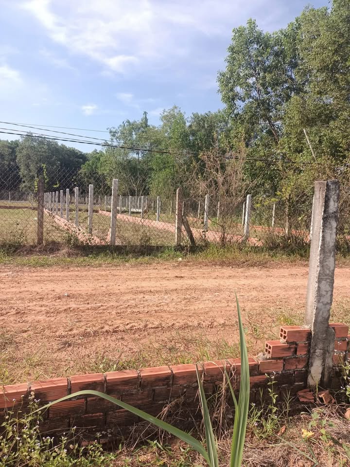 Đất nền Long Chữ Bến Cầu Tây Ninh 145m² giá 200 triệu - Sổ hồng chính chủ!