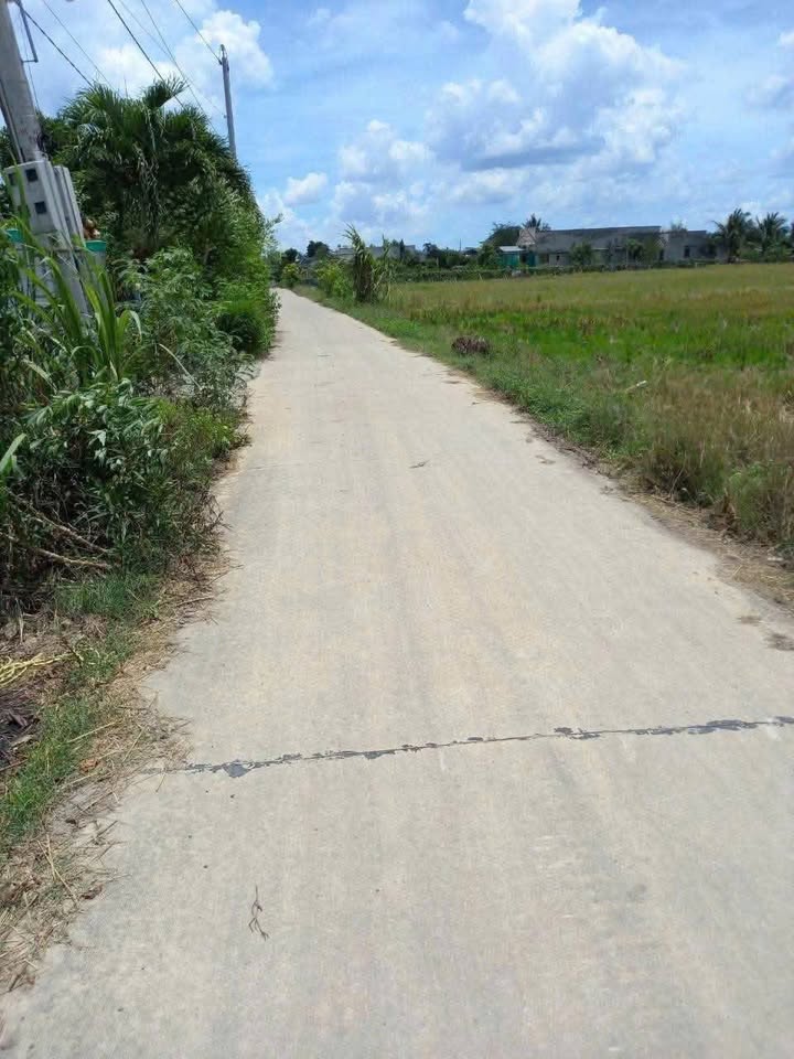 Đất thổ cư 180m² và 1820m² đất lúa - Mặt tiền đường Cây Điệp, Bến Lức, Long An - Giá chỉ 2.4 tỷ!