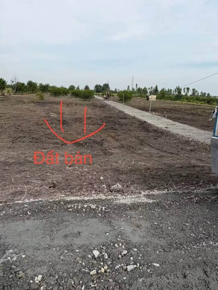 Đất nền Bến Lức 500m² giá 299 triệu - Đường xe hơi thuận tiện!