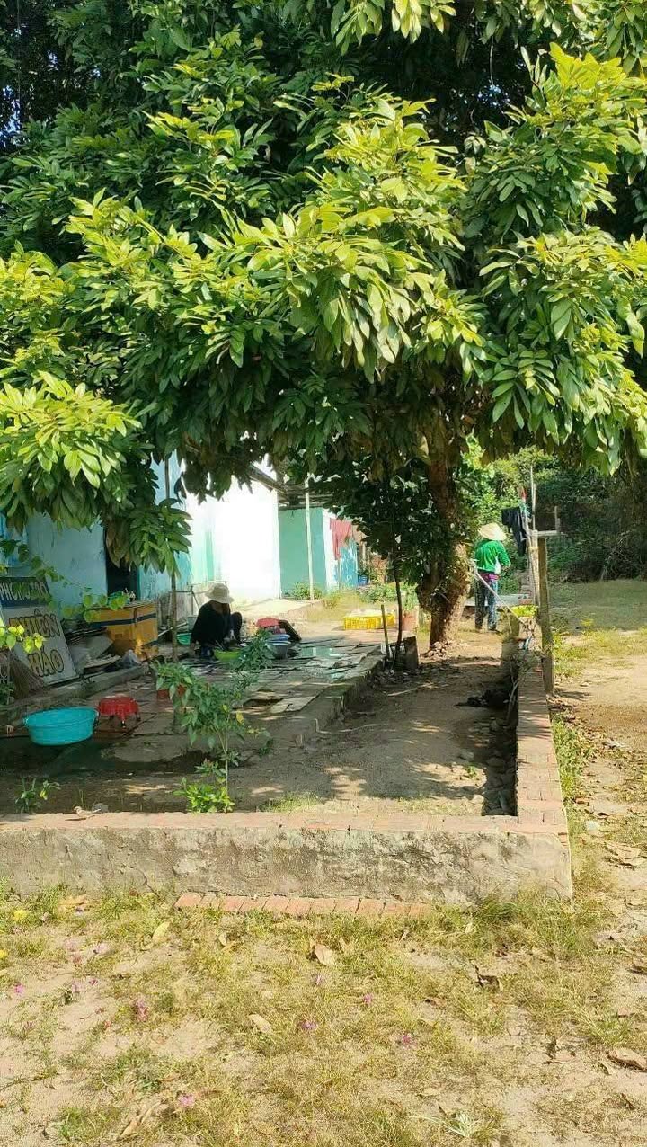 Đất nền mặt tiền đường Vòng Núi Sam Châu Đốc 96m² giá 700 triệu - Cơ hội đầu tư hấp dẫn!