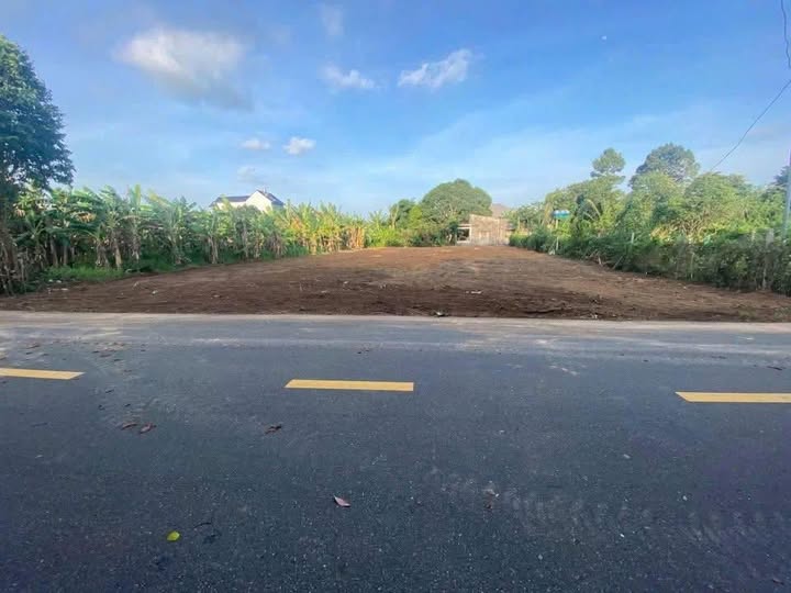 Đất nền Phước Hữu, Tam Phước 350m² giá 2.55 tỷ - Cơ hội đầu tư tuyệt vời!