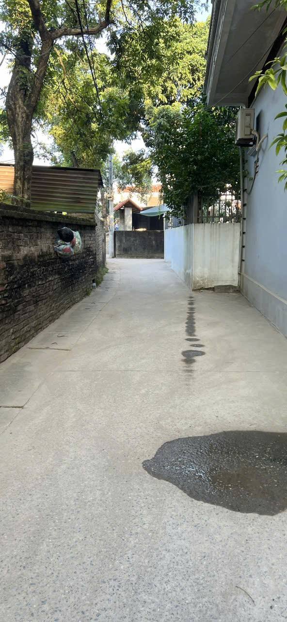 Đất thổ cư 148,2m² tại Đại Tảo, Quốc Oai - Đầu tư sinh lời ngay!