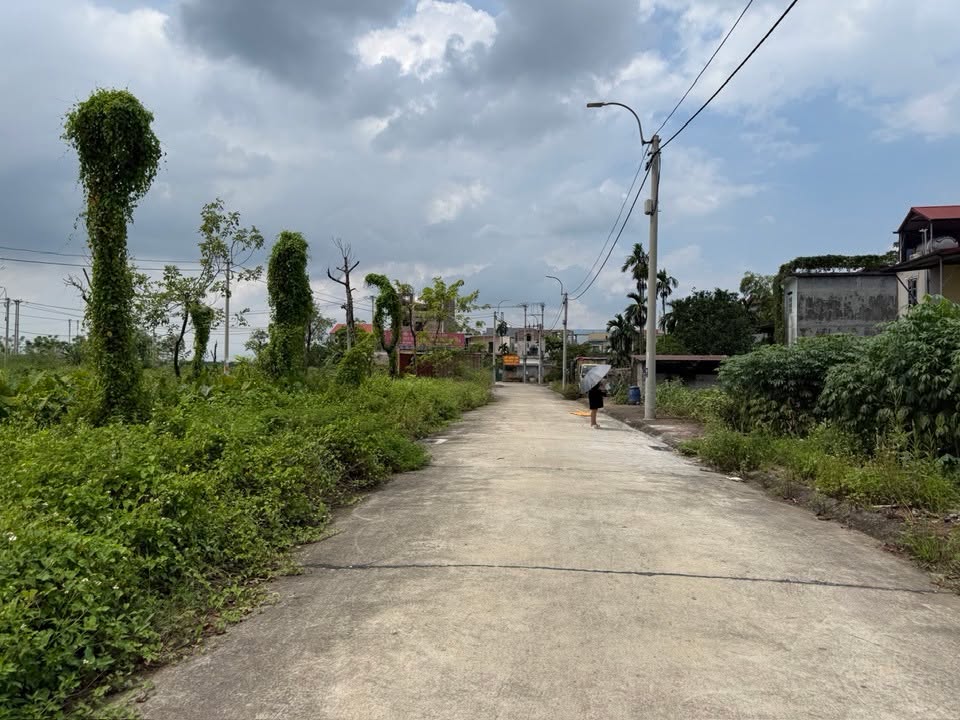 Đấu giá đất nền Yên Sơn, Quốc Oai - Diện tích từ 73m² giá chỉ 14.600.000/m²