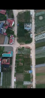 Đất đấu giá Hoàng Trạch, Mễ Sở, Văn Giang 87.5m² giá 6.431 tỷ - Cơ hội đầu tư sinh lời cao!