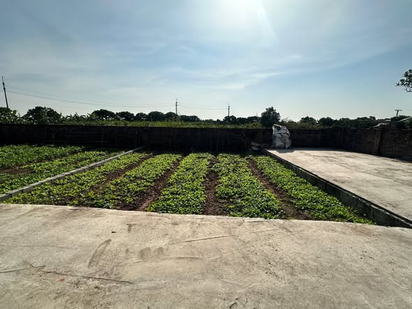 Đất nền Tân Dân - Khoái Châu 65m² giá 1.5 tỷ - Lô góc 2 mặt tiền!