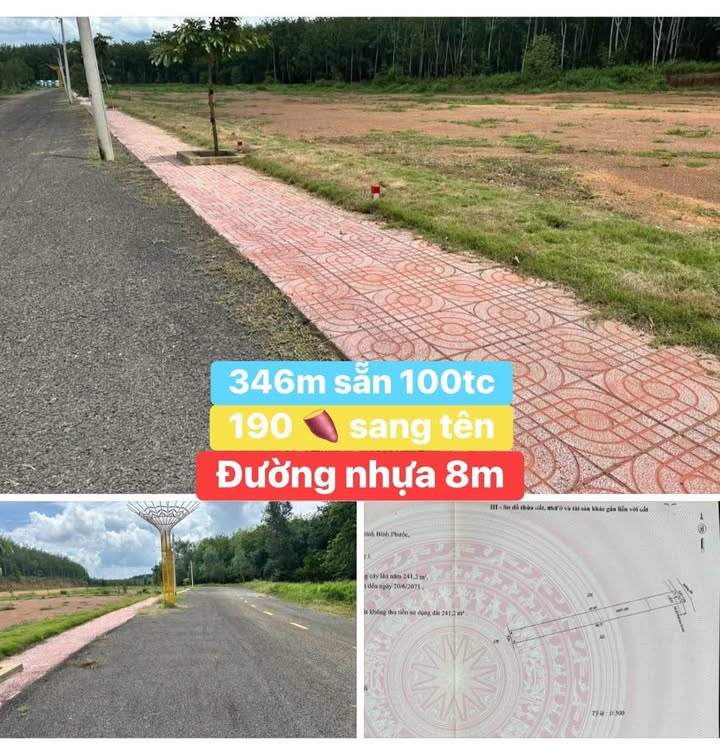 Đất thổ cư Đồng Tiến, Đồng Phú 300m² - Cơ hội đầu tư sinh lời!