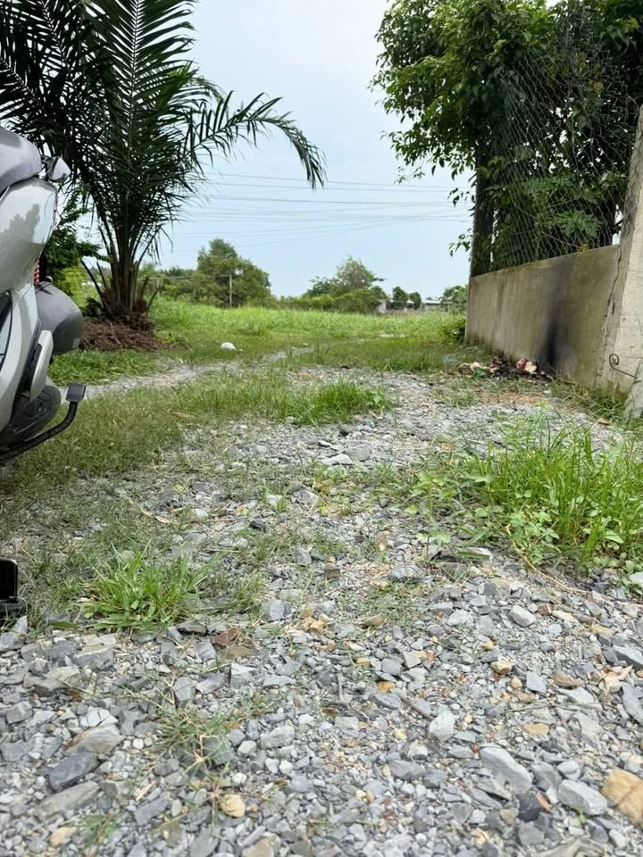 Đất thổ cư Đức Hòa Thượng 150m² giá 820 triệu - Mặt tiền đường lớn, xe tải vào thoải mái!