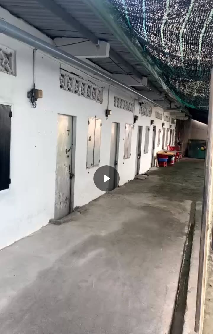 Nhà trọ 7 phòng Tân Xuân Hóc Môn 154m² giá 4.7 tỷ - Sổ hồng riêng hoàn công!