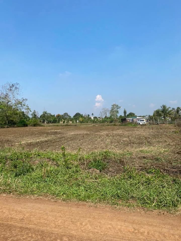 Đất nền Ea Kly, Krông Pắc 1672m² giá 1.25 tỷ - Đầu tư sinh lời ngay!