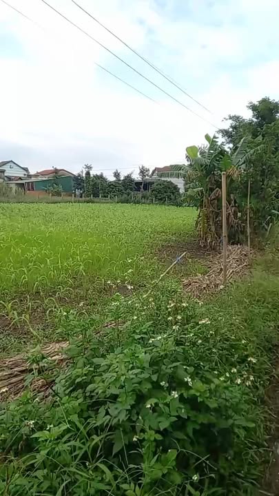 Đất phân lô xã Ea Phê, huyện Krông Pắc 972m² - Giá tốt, vị trí gần trung tâm!