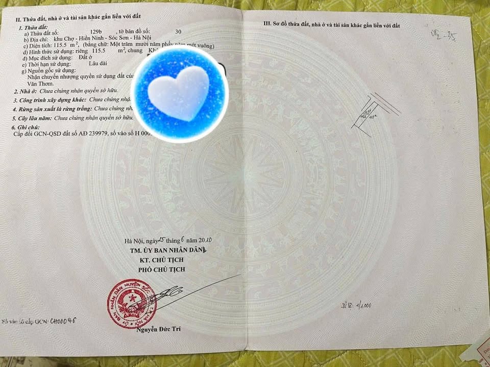 Đất thổ cư 115.5m² tại chợ Nam Cương, Nội Bài - Giá đầu tư tốt!