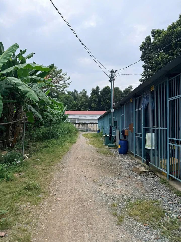 Đất nền Phước Thiền, Nhơn Trạch 115m² giá 9 tỷ - Sổ đỏ chính chủ, xây dựng ngay!