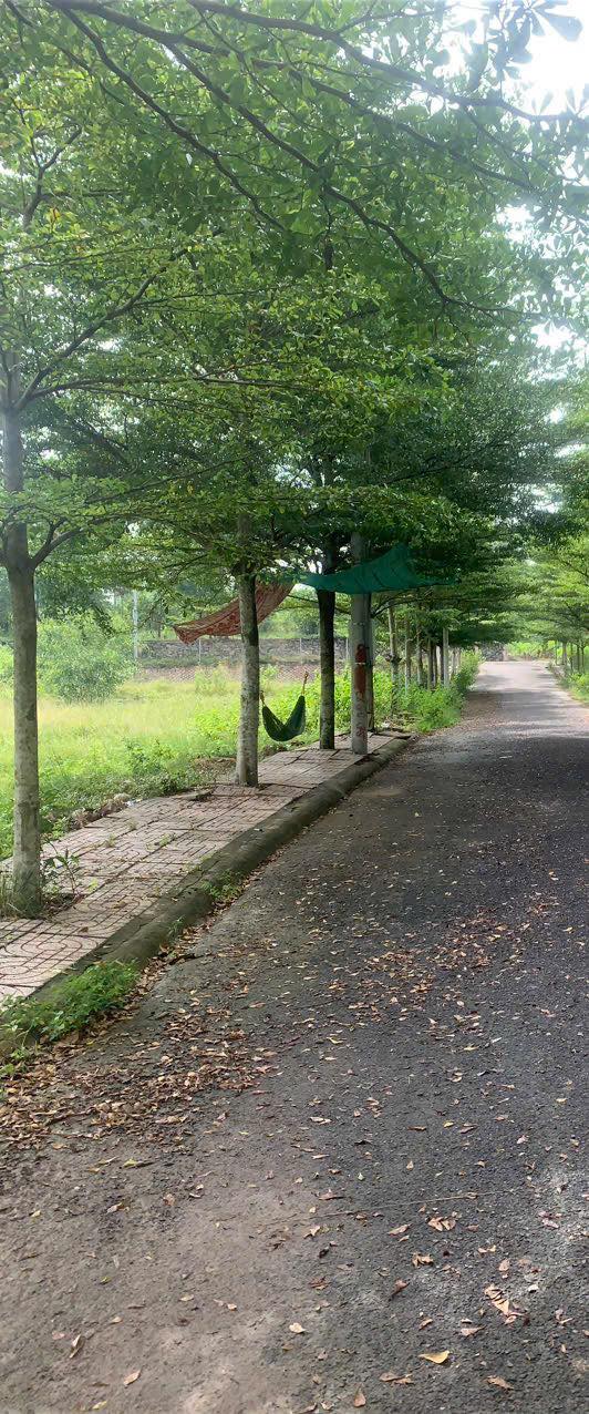 Đất nền Tam Phước Biên Hòa 500m² giá 3.5 tỷ - Đầu tư sinh lời ngay!