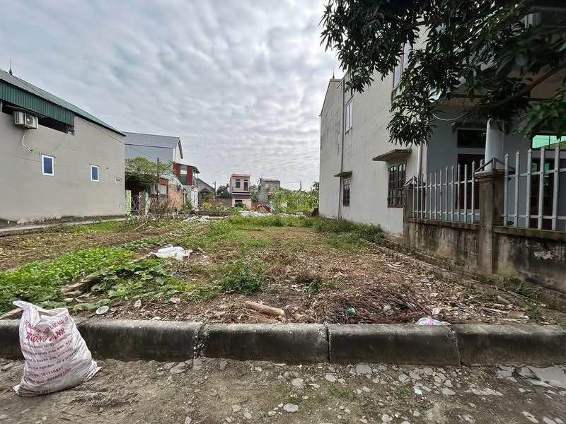 Đất nền Phú Minh, Sóc Sơn 110m² - Vị trí vàng gần sân bay Nội Bài!