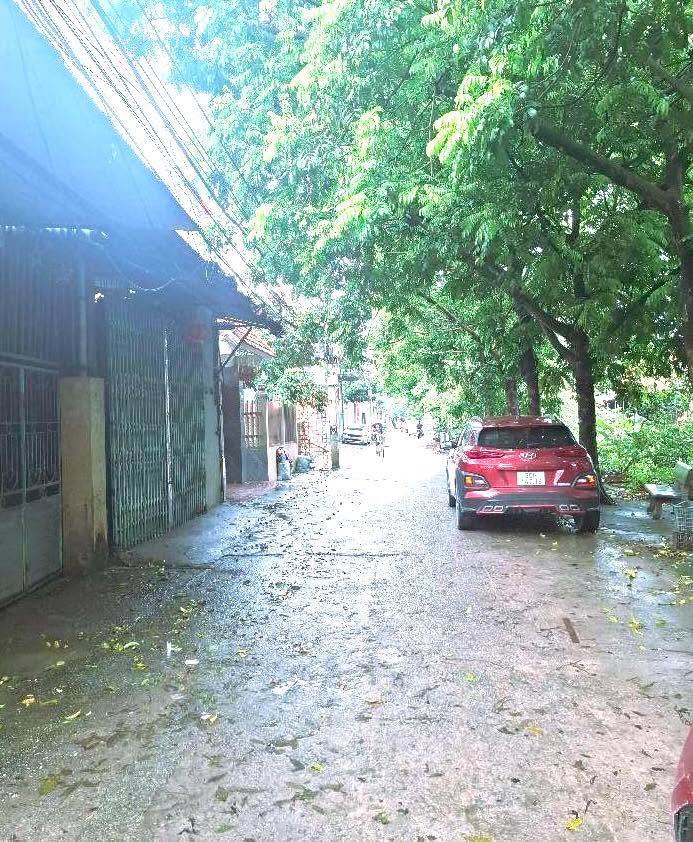 Đất nền Thụy Lâm, Đông Anh 95m² giá chỉ 40 triệu - Đầu tư sinh lời ngay!